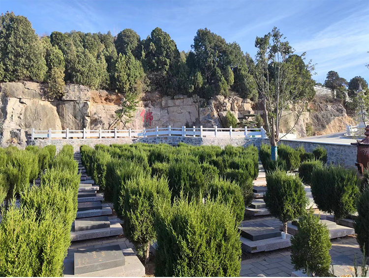 墓地风水与子孙后代的运势