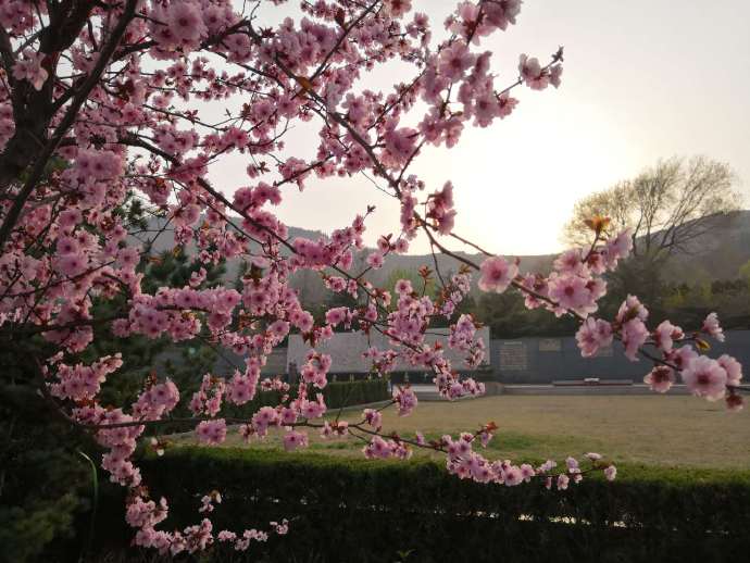 为老年人安置公墓应考虑三个问题