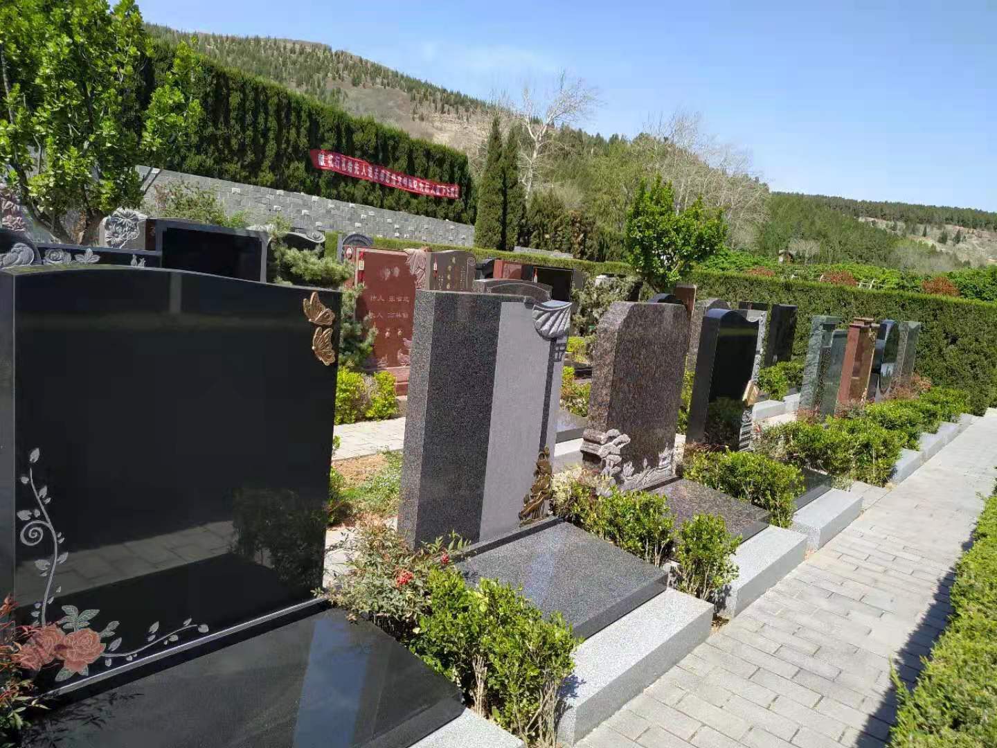 山东福寿园墓型 山东福寿园墓型