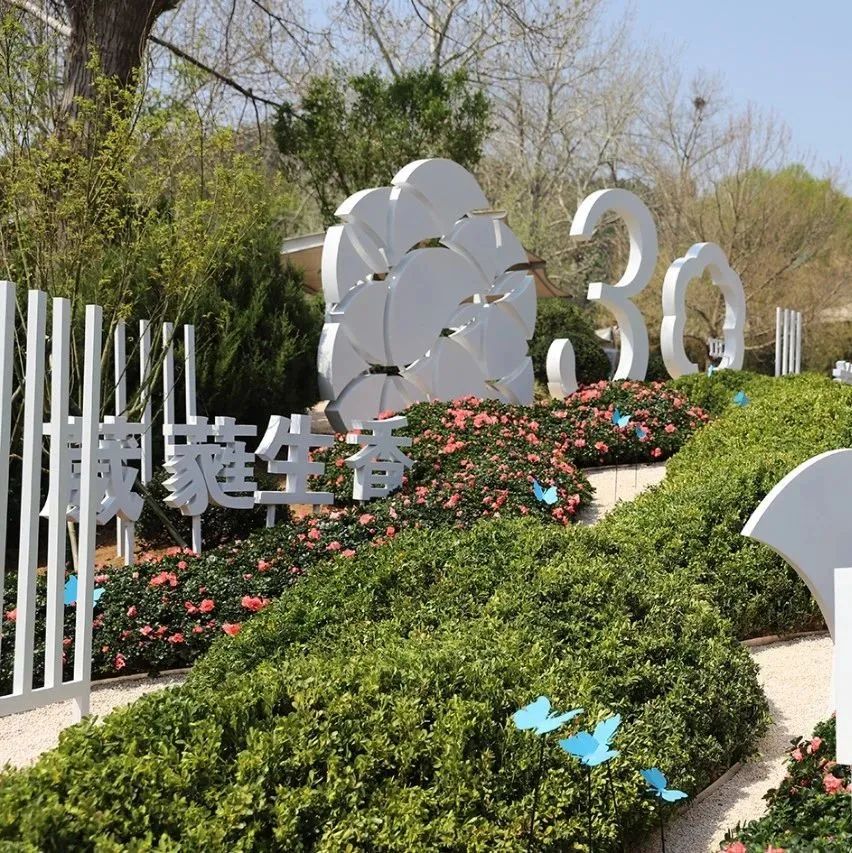 母爱节致敬母亲