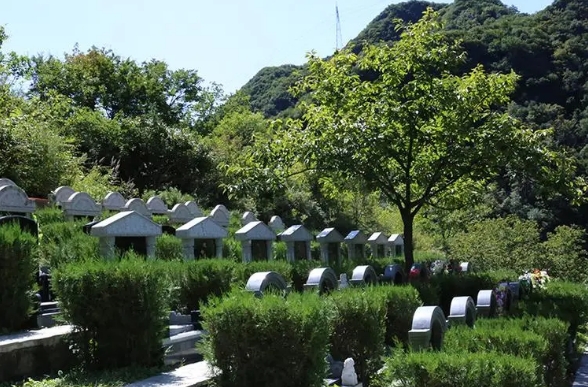 墓地朝向注意事项