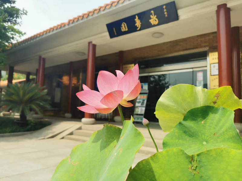 济南福寿园挑选家族墓地