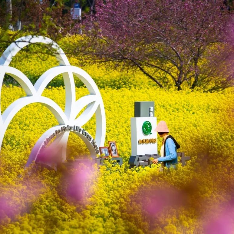 绿色殡葬·文明祭扫