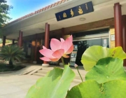 济南福寿园公墓安葬程序及注意事项