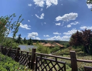 福寿园的生命教育与文化传承之道