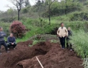 迁坟分为哪几种情况呢？