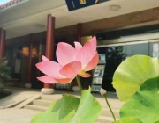 选择墓地时需考虑的三个关键问题