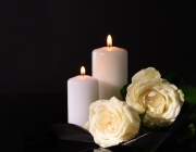 适合悼念的鲜花是什么样的？