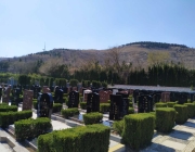 济南公墓选购政策的最新动态