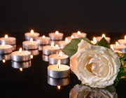 葬礼送什么花？