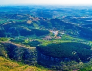 墓地价格之“争”：寸土寸金背后的生死考量