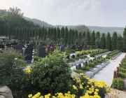 购买福寿园树葬需要哪些证件？