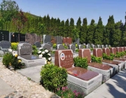 福寿园入围达沃斯世界品牌峰会“2024世界创新品牌500强”