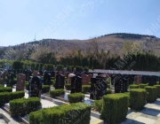 葬礼应该注意什么