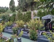 墓地用于祭奠，使墓地包含更多的“公益因素”