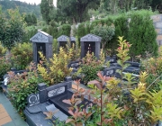 济南陵园的购买流程是什么？