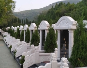 公墓号码怎么选择？选择公墓号码有何讲究？