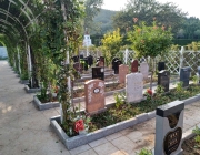 济南墓地中石狮的摆放有哪些讲究？