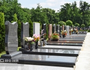 选择墓地的技巧有哪些？