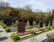 墓地的管理费是多少？ 为什么要支付这笔费用？