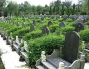 购买公墓墓地需要准备哪些材料？