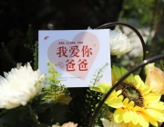  山东福寿园父亲节专属服务,致敬如山的父爱