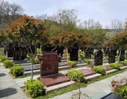 骨灰储存的选择与注意事项