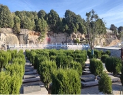 墓地风水与子孙后代的运势