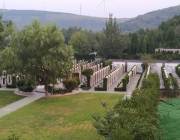 农村户口购买公墓的流程是怎样的？