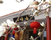 山东福寿园清明祭扫全指南