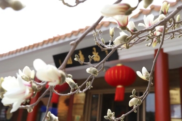 山东福寿园清明祭扫全指南