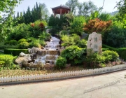 山东福寿园带你看不一样的春天，在墓地里寻找春天