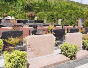 济南公益性墓地和经营性墓地区别何在？