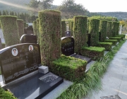 济南墓地祖坟风水怎么看？济南福寿园墓地种树有什么讲究？