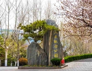 济南福寿园公墓-山东老战士纪念广场被评为国家AAA级旅游景区