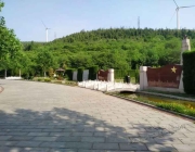 去墓地上坟扫墓时磕头磕几个